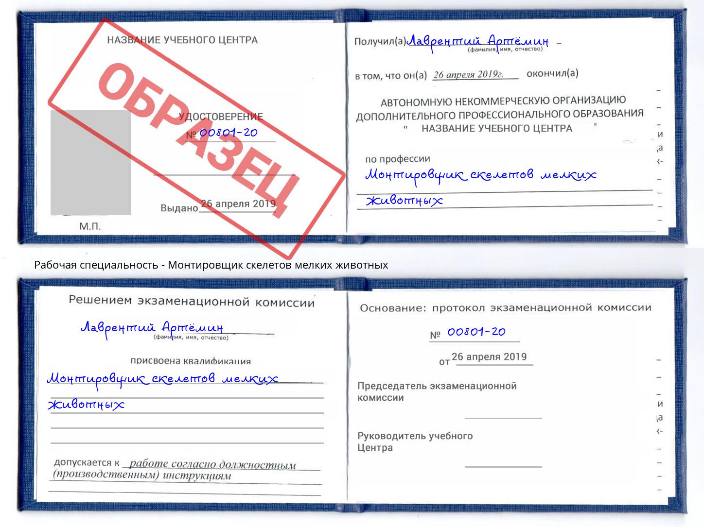 Монтировщик скелетов мелких животных Батайск